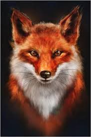 Profil de Justin, 32 ans, Rencontre BDSM à Oron-le-Châtel (Vaud)