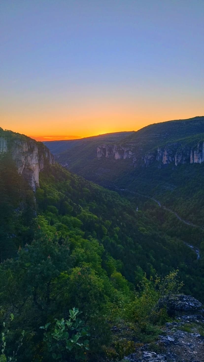 Kalvin Rencontre bdsm Biel/Bienne