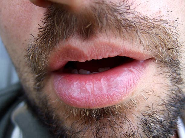 Ely Rencontre bdsm Savosa