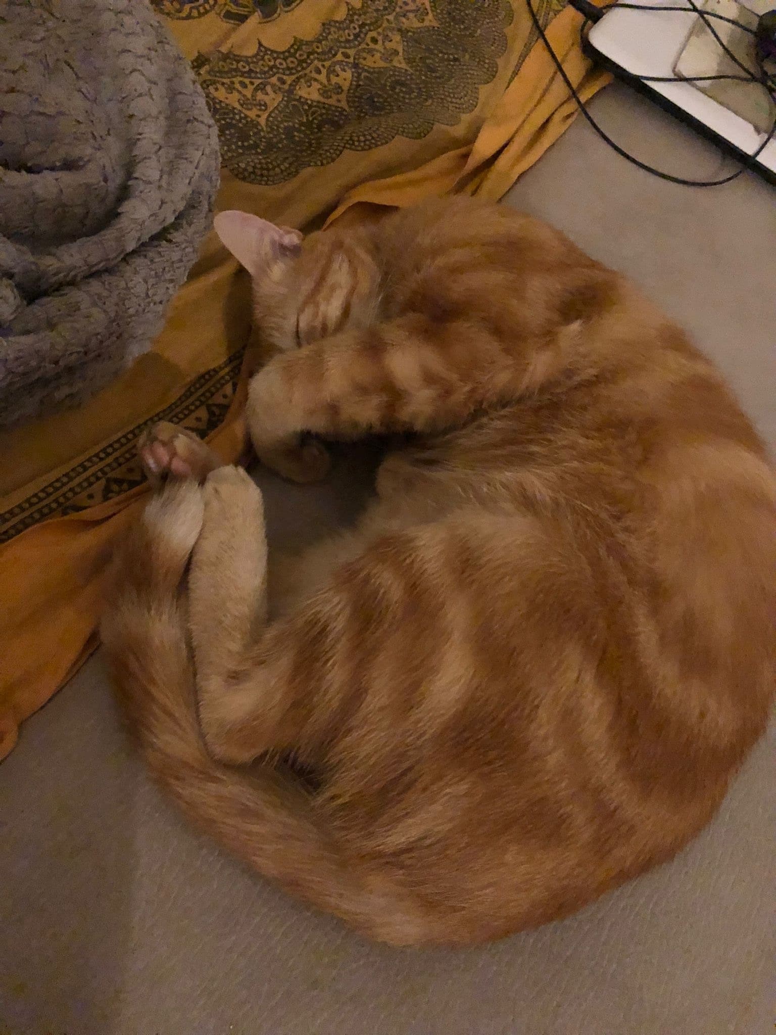 Profil de Moana, 36 ans, Rencontre BDSM à Cadenazzo (Tessin)