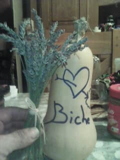 Profil de Ness, 29 ans, Rencontre BDSM à Clèbes (Nendaz) (Valais)