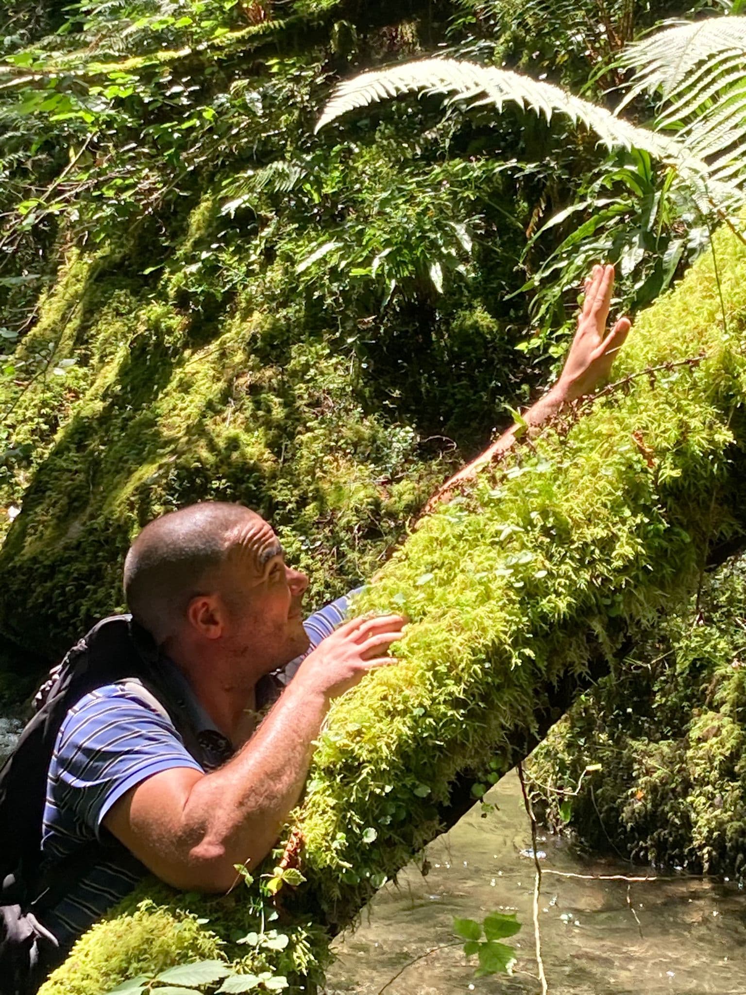 Profil de Sydney, 40 ans, Rencontre BDSM à Herbetswil (Soleure)