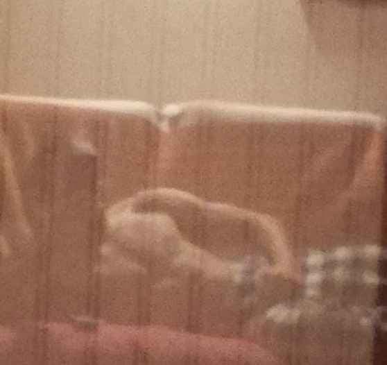 Yasin Rencontre bdsm Neuhausen am Rheinfall